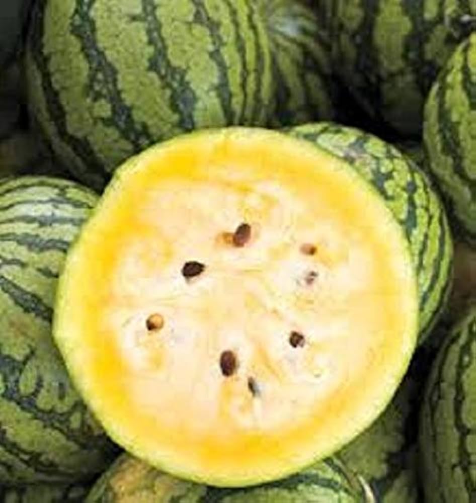 Yellow Baby Doll Watermelon seeds growing into small, round watermelons with thin yellow rind and sweet yellow flesh